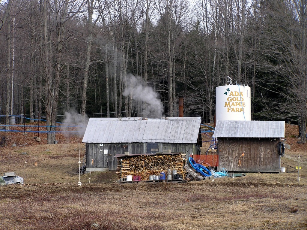 New York Maple Syrup Producers Find A Maple Producer Near You!